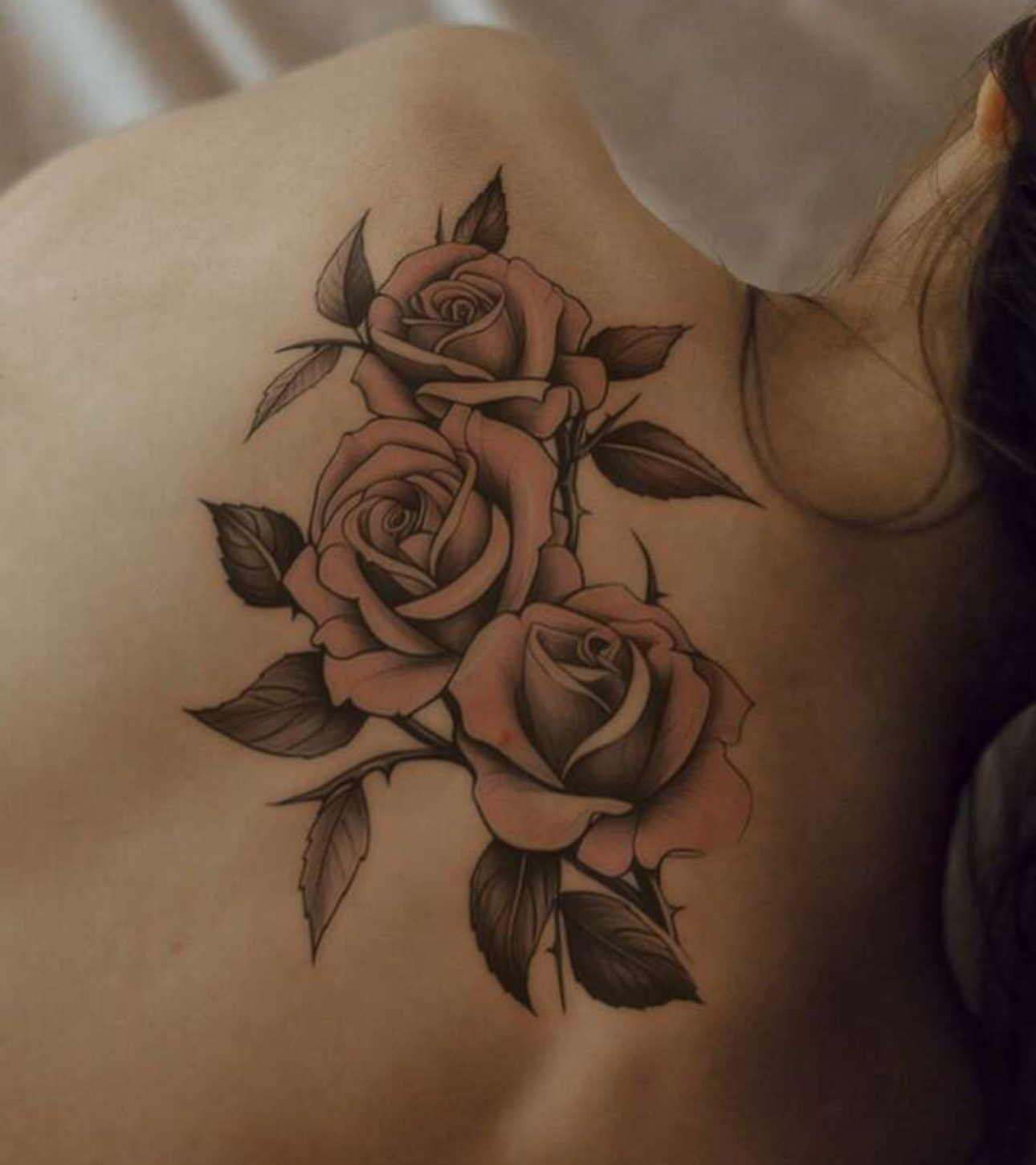 3 roses sur branche et épines